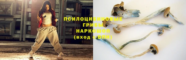 мескалин Алексин